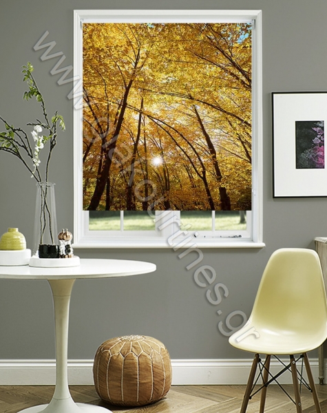 rolerpsifiakiektiposi4-min