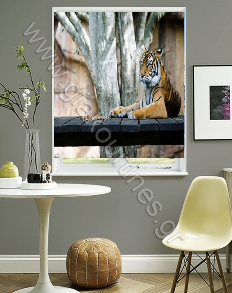 rolerpsifiakiektiposi13-min