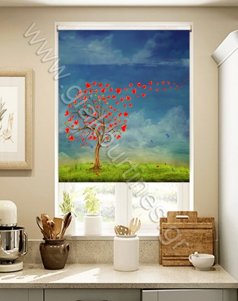 rolerskiasismesxedia32-min