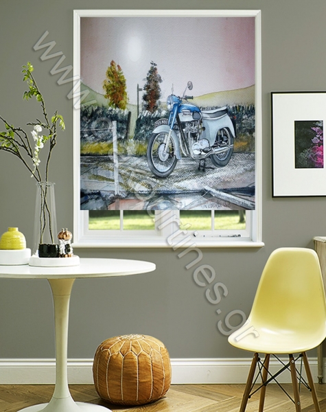 rolerskiasisneanika53-min