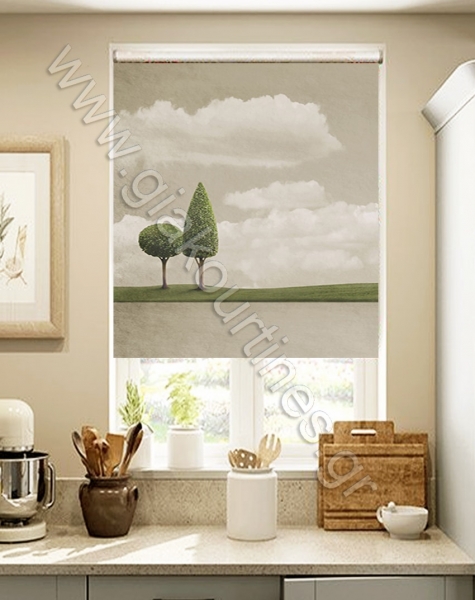 rolerskiasissxedia60-min