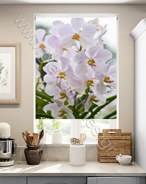 rolerpsifiakiektiposi7-min