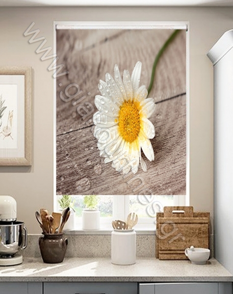 rolerpsifiakiektiposi31-min