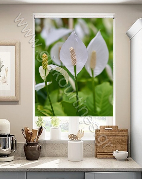 rolerpsifiakiektiposi32-min