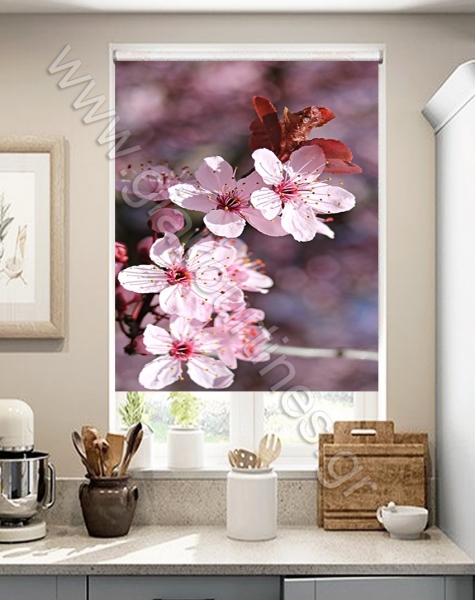 rolerpsifiakiektiposi-min_159599030