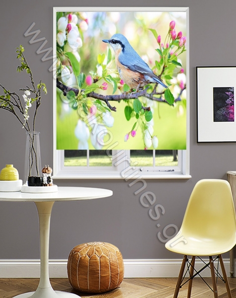 rolerskiasis42-min_903863690