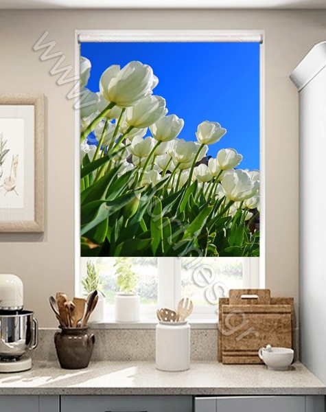 rolerskiasismesxedia1-min