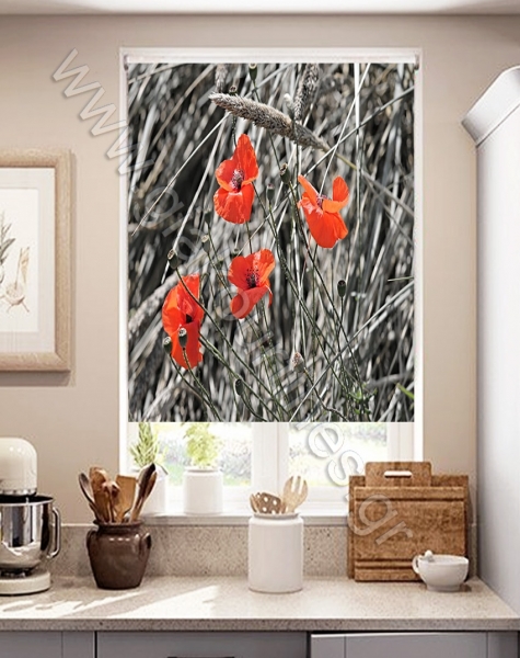 rolerskiasismesxedia23-min