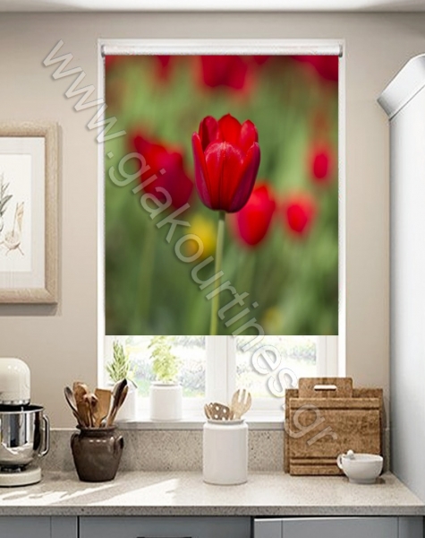 rolerskiasismesxedia-min