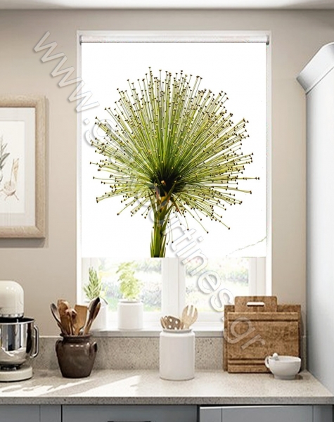 rollergiakouzinafloral24-min