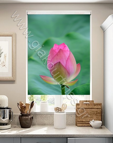 rollerpsifiakiektiposi9-min