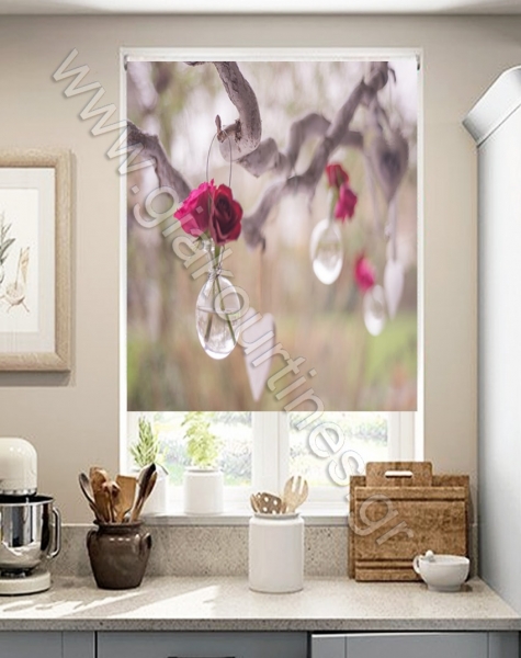 rolokourtinamelouloydia32-min