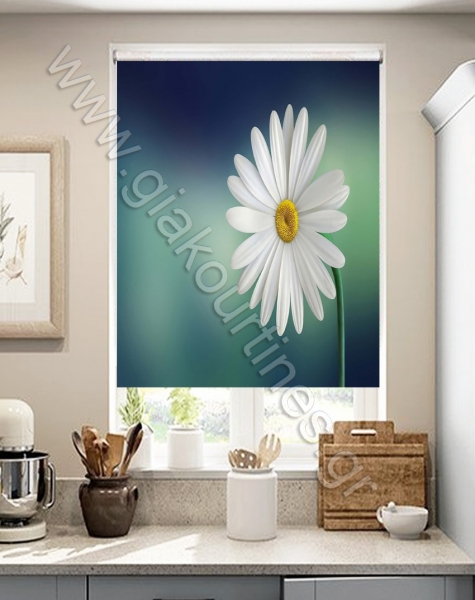 rolokourtines4-min_485288320