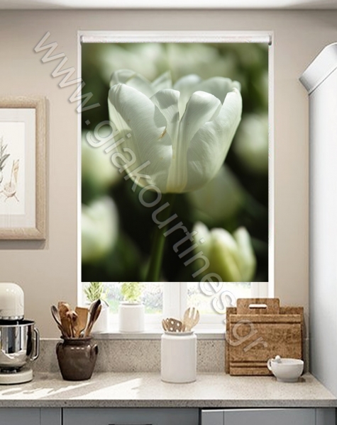 rolokourtinespsifiakiektiposi6-min