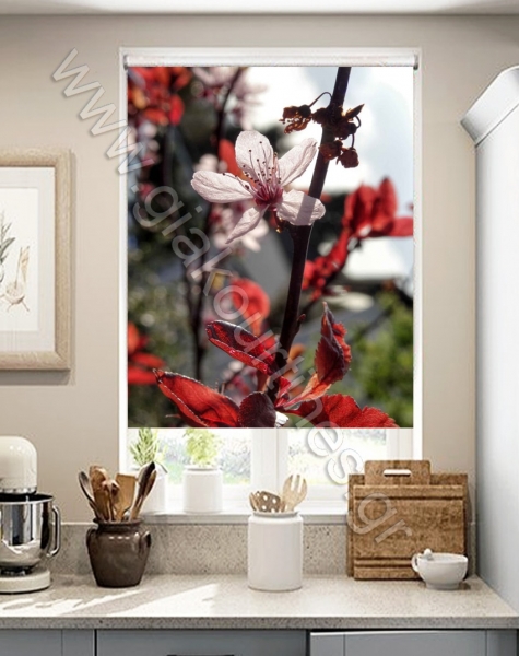 rolokourtinespsifiakiektiposi-min