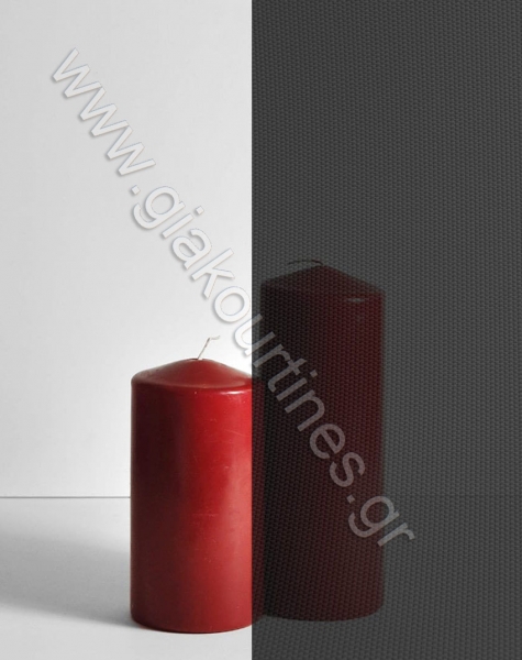 rolerskiasis2-min_524583802